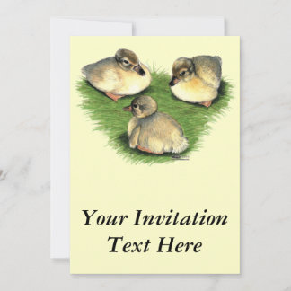 Welsh Harlequin Ducklings Invitation