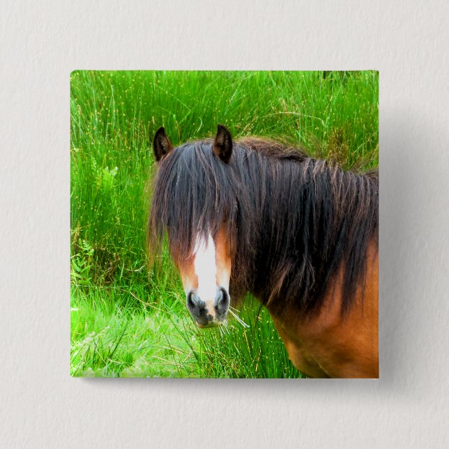WELSH MOUNTAIN PONY 15 CM SQUARE BADGE (Front)