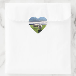 WELSH MOUNTAIN SHEEP HEART STICKER