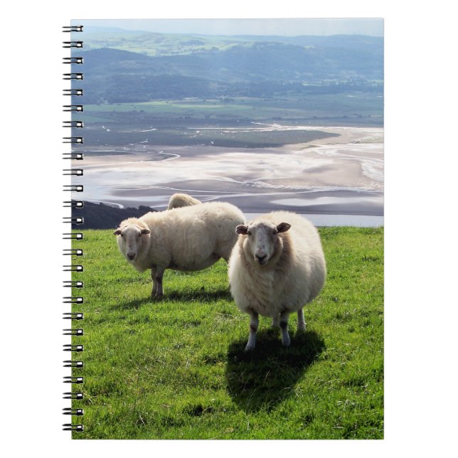 WELSH MOUNTAIN SHEEP SPIRAL NOTEBOOK (Front)
