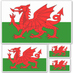 Welsh National Flag Contour