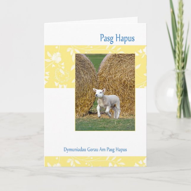 Welsh Pasg Hapus, Easter Card With Spring Lamb (Front)