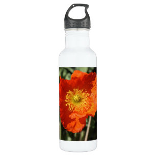 Welsh Poppy (Orange) 710 Ml Water Bottle