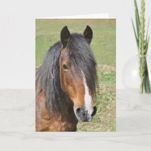 Welsh Section D birthday Card