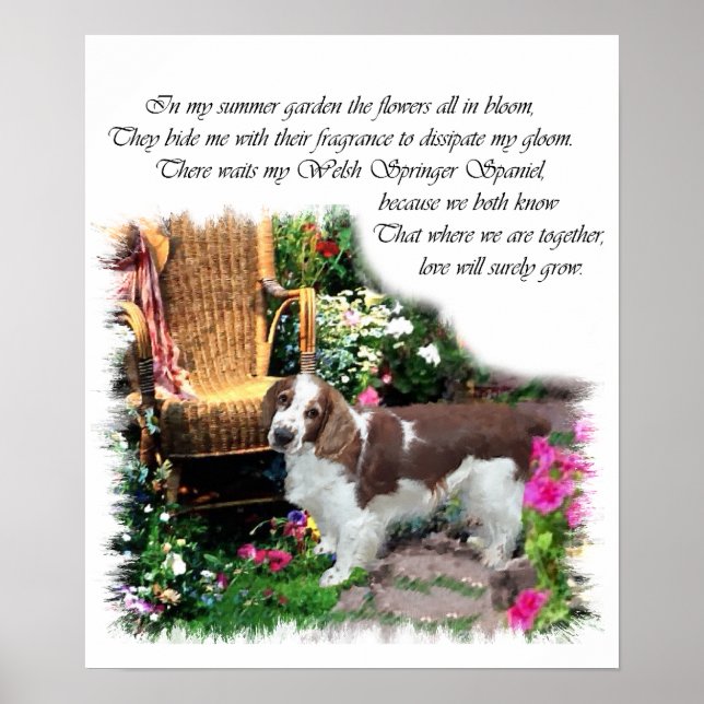 Welsh Springer Spaniel Art Print (Front)