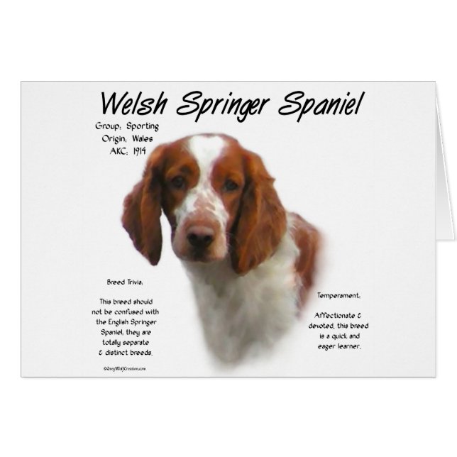 Welsh Springer Spaniel History Design (Front Horizontal)