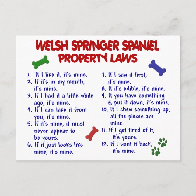 WELSH SPRINGER SPANIEL Property Laws 2 Postcard (Front)