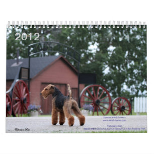 Welsh Terrier 2012 Calendar by Darwyn