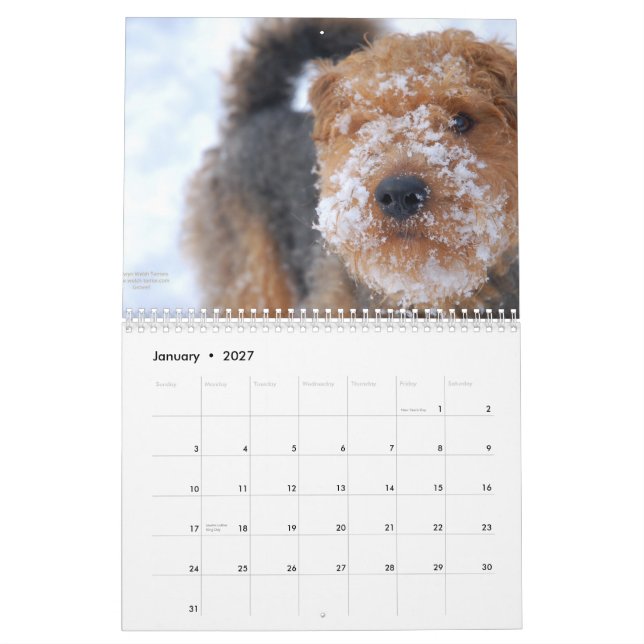 Welsh Terrier 2012 Calendar by Darwyn (Jan 2027)