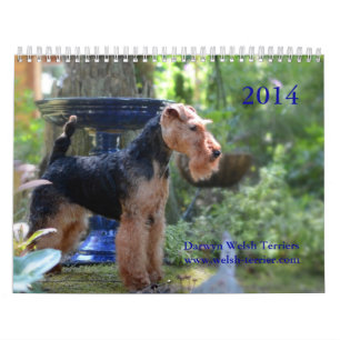 Welsh Terrier 2014 Calendar by Darwyn