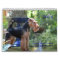 Welsh Terrier 2014 Calendar by Darwyn