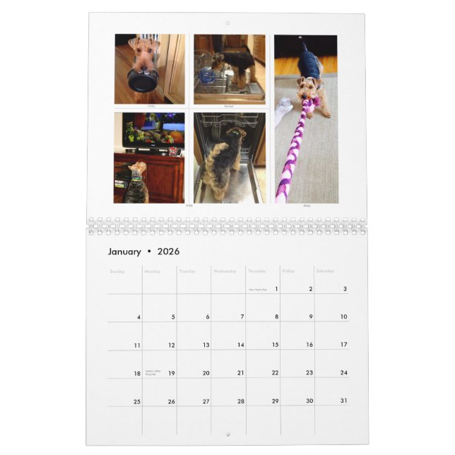 Welsh Terrier 2015 Calendar by SBWT (Jan 2026)