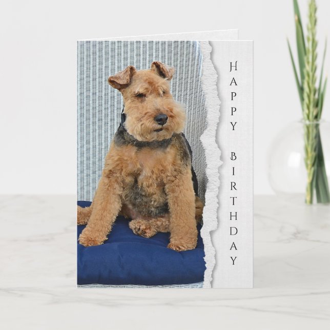 Welsh Terrier birthday card (Front)