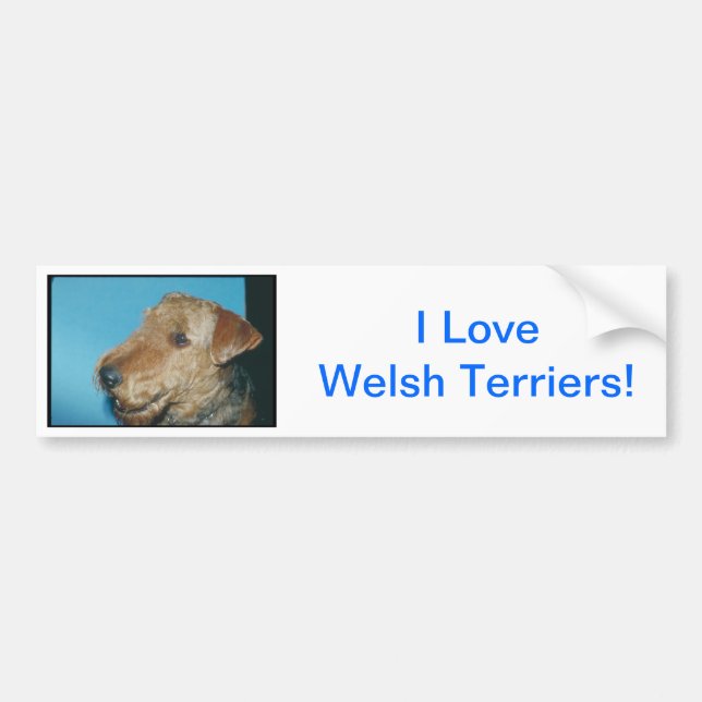 Welsh Terrier Bumper Sticker (Front)