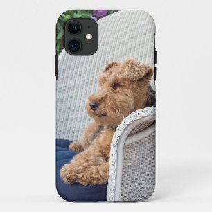 Welsh Terrier Case-Mate iPhone Case