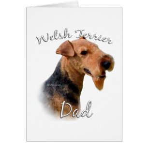 Welsh Terrier Dad 2