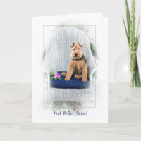 Welsh Terrier Get Well Soon