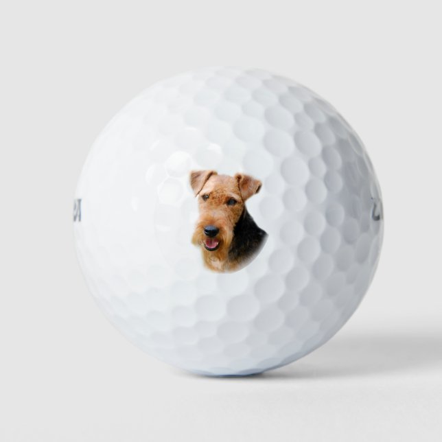 Welsh Terrier Golf Balls (Front)