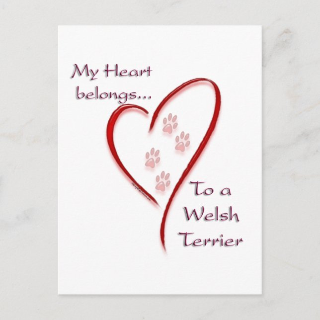 Welsh Terrier Heart Belongs Postcard (Front)