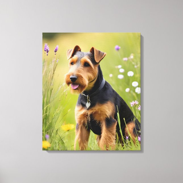 Welsh Terrier In Wildflower Meadow Canvas Print (Front)