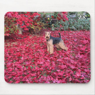 Welsh Terrier Mousepad