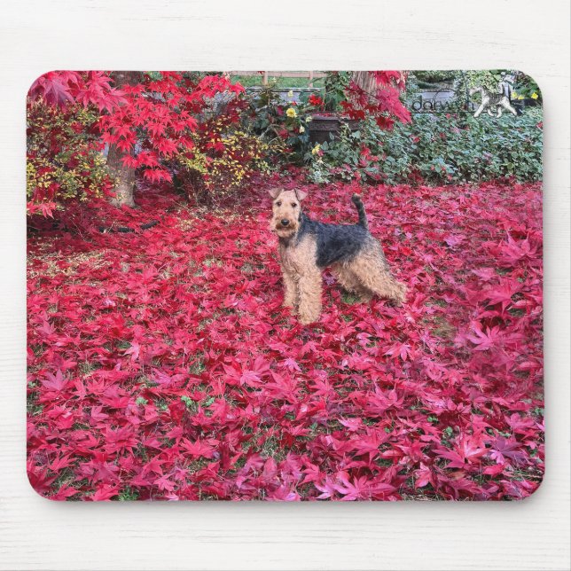 Welsh Terrier Mousepad (Front)