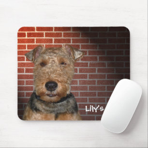 Welsh Terrier on Brick Wall Mouse Pad