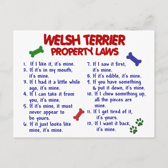 WELSH TERRIER Property Laws 2 Postcard (Front)
