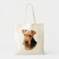 Welsh Terrier