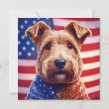 Welsh Terrier With American Flag And Bandanna