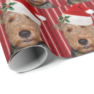 Welsh Terrier with Santa Claus hat Wrapping Paper