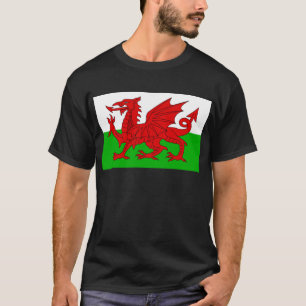 Welsh / Wales Flag - Cymru High Quality Image T-Shirt