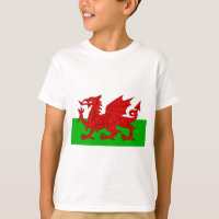 Welsh / Wales Flag - Cymru High Quality Image