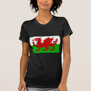 Welsh / Wales Flag - Cymru High Quality Image T-Shirt