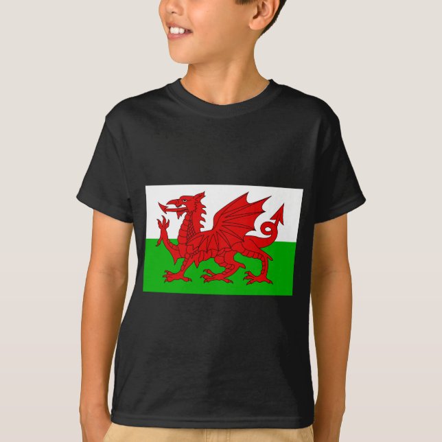 Welsh / Wales Flag - Cymru High Quality Image T-Shirt (Front)