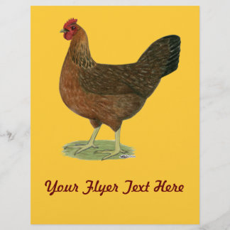 Welsummer Hen Flyer