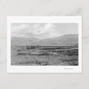 Wenatchee, WA Town View and Orchard Photograph Postcard