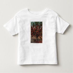 Wenatchee, WAA Wenatchee Valley Apple Tree Toddler T-Shirt