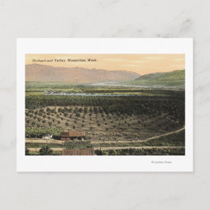 Wenatchee, WashingtonAerial View of an Orchard Postcard