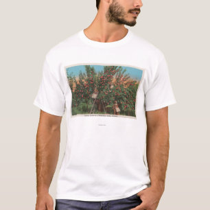 Wenatchee, WAView of Apple Orchard & Workers T-Shirt