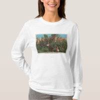 Wenatchee, WAView of Apple Orchard & Workers