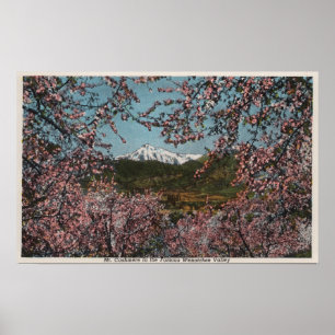 Wenatchee, WAView of Mt. Cashmere with Trees Poster
