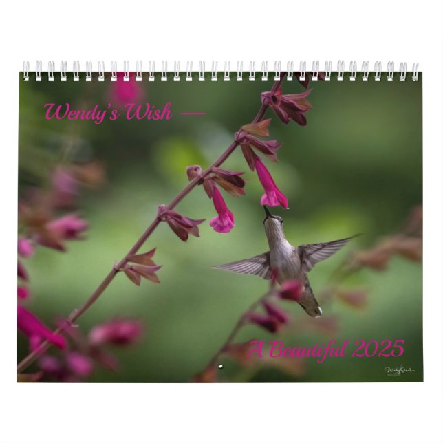 Wendy’ Wish 2025 18 Month, Medium Calendar (Cover)