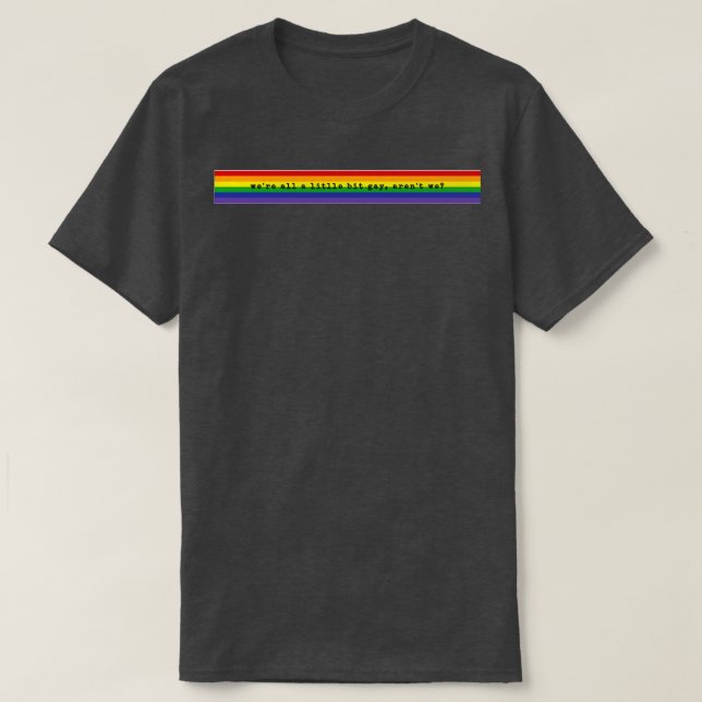 were all a little bit gay arent we T-Shirt (Design Front)