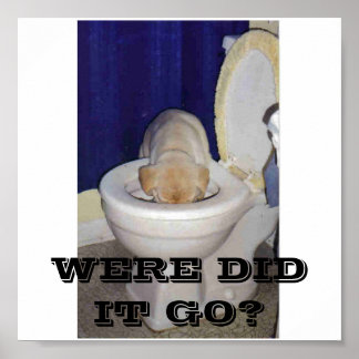 WERE DID IT GO? POSTER