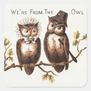 We're from the Owl Country: Chromolithograph Art Square Sticker