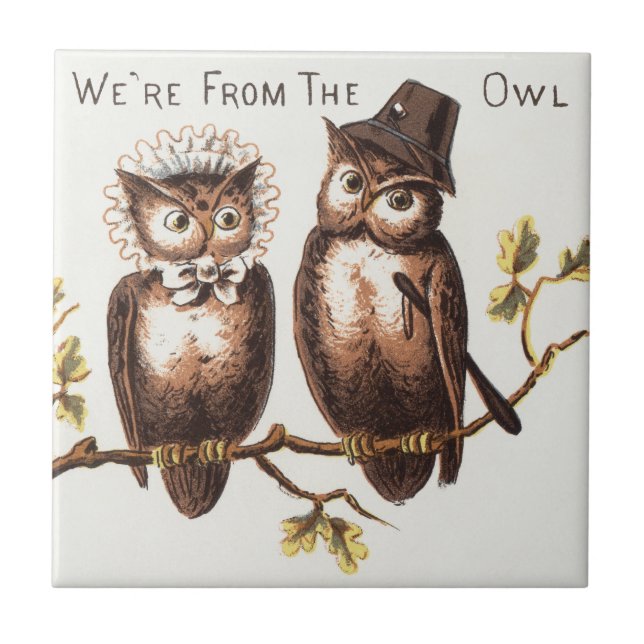 We're from the Owl Country: Chromolithograph Art Tile (Front)