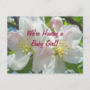 We're Having a Baby Girl! post cards New Baby