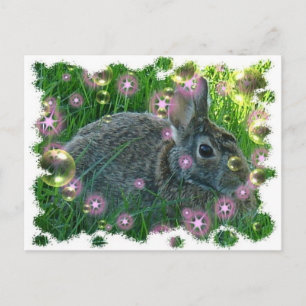 We're Having A Party Bunny Postcard