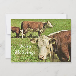 We're Mooving! Announcement